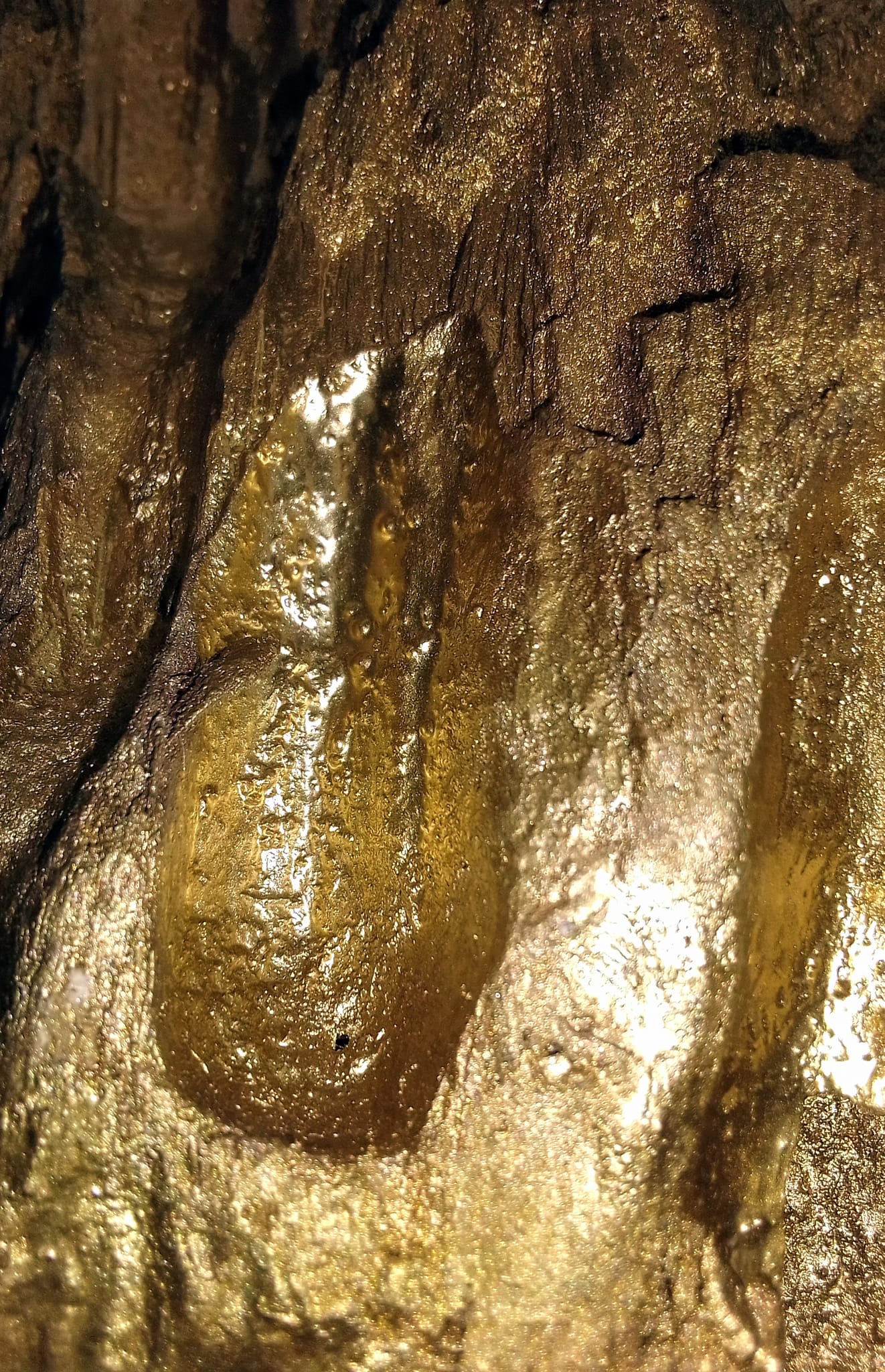 Unique Driftwood Gold Prospector piece